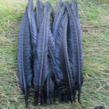 Gražus 50pcs/daug aukštos kokybės 16-18inches / 40-45cm juoda gamtos fazano plunksna, 